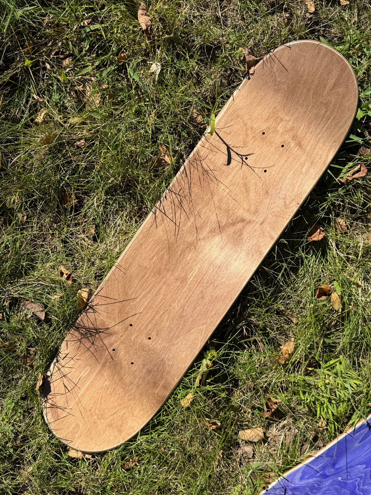 8.38" Skateboard